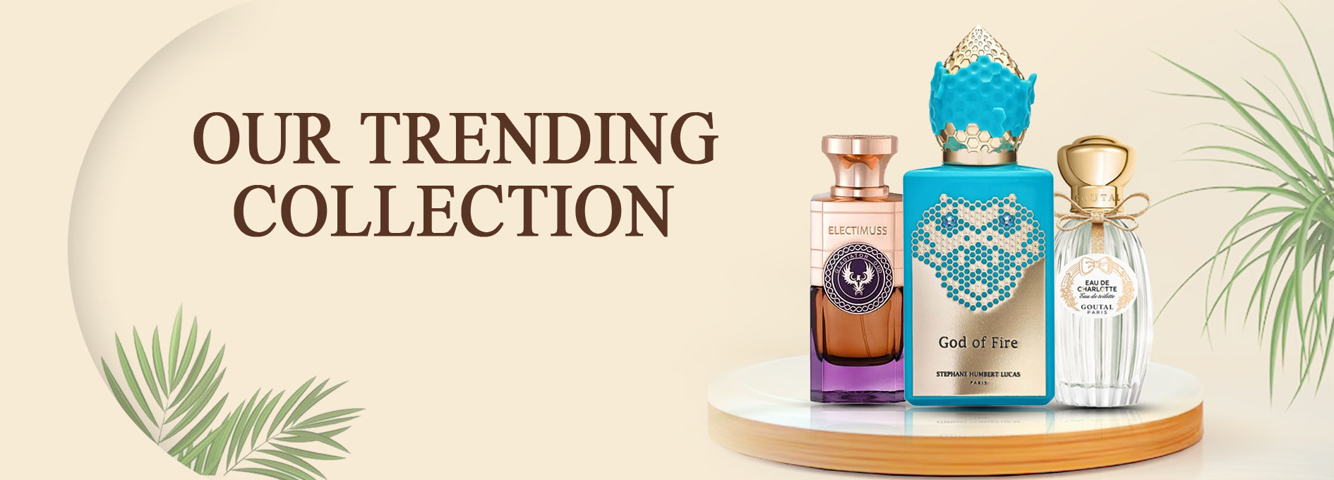 Trending Collection