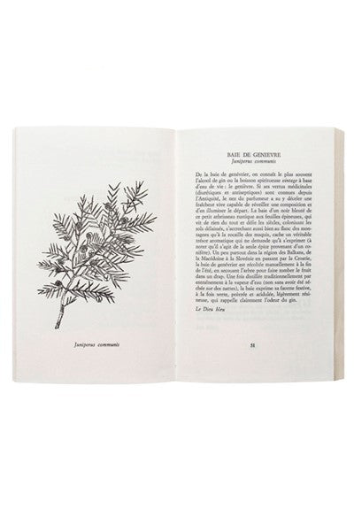 Drei historische Parfums 