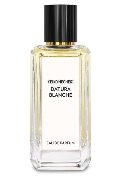 Datura Blanche
