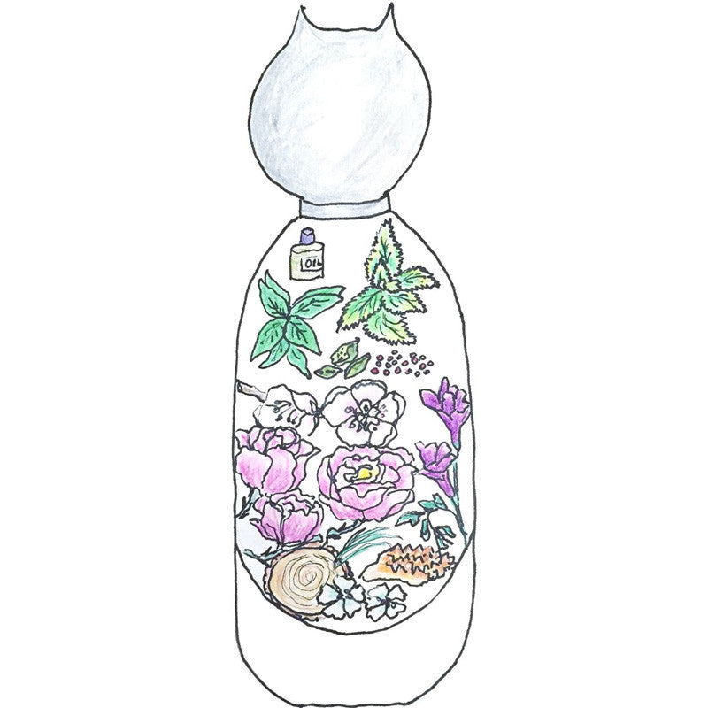 Grace Eau De Toilette de Grace Coddington