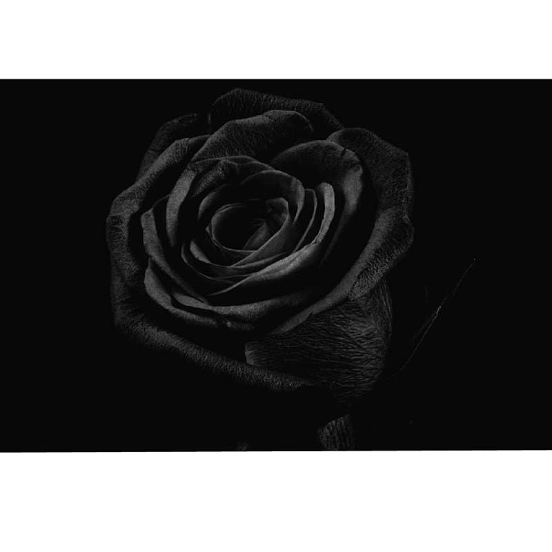 Le Snob Nr. I Gothic Rose