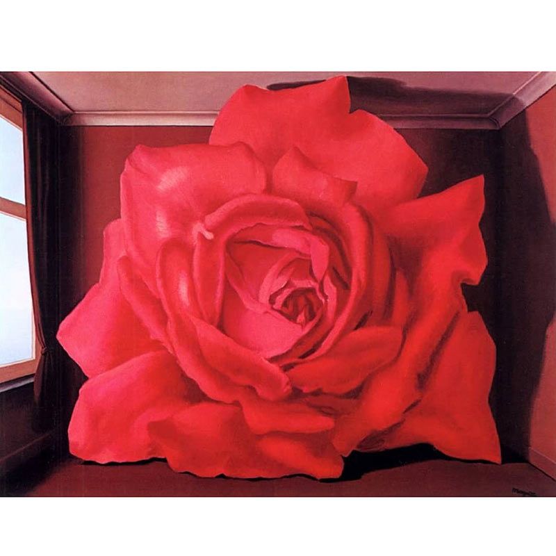 Le Snob Nr. III Rote Rose