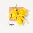 Ylang Eau De Parfum