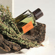 Wood Infusion Perfume