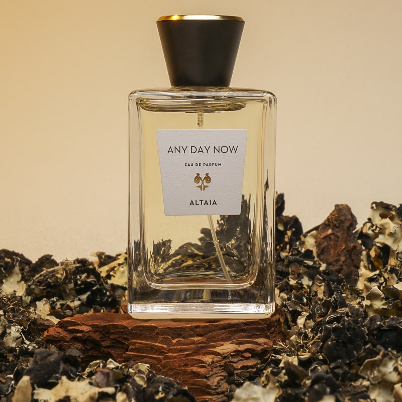 Any Day Now Eau de Parfum