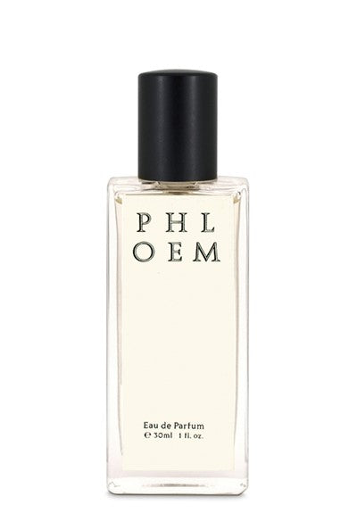 Phloem