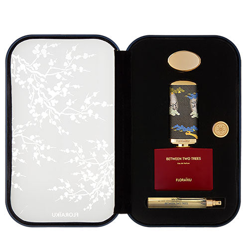 Zwischen zwei Bäumen