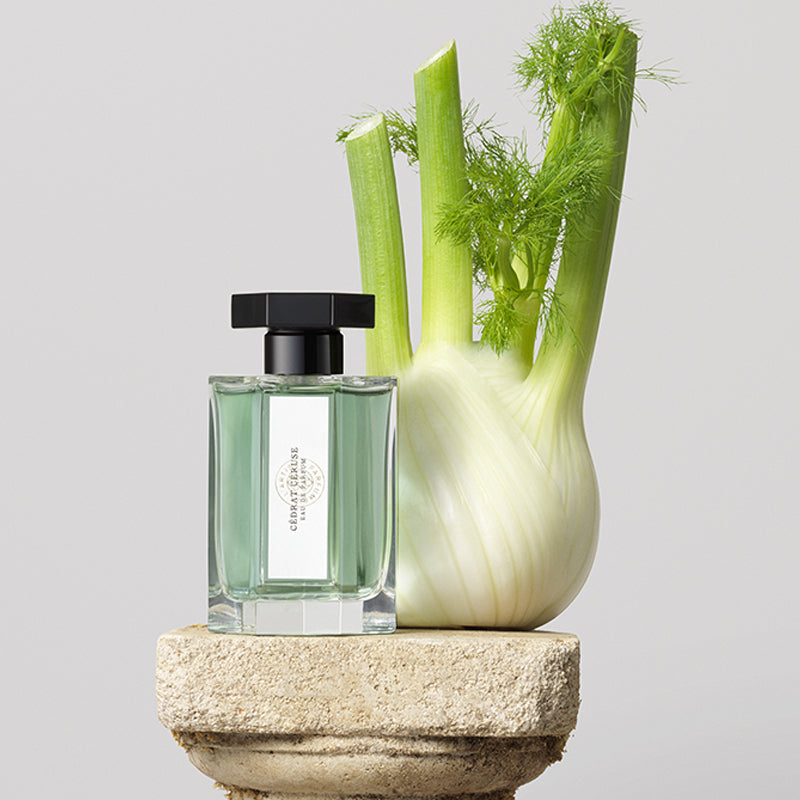 CÉDRAT CÉREUSE - EAU DE PARFUM 